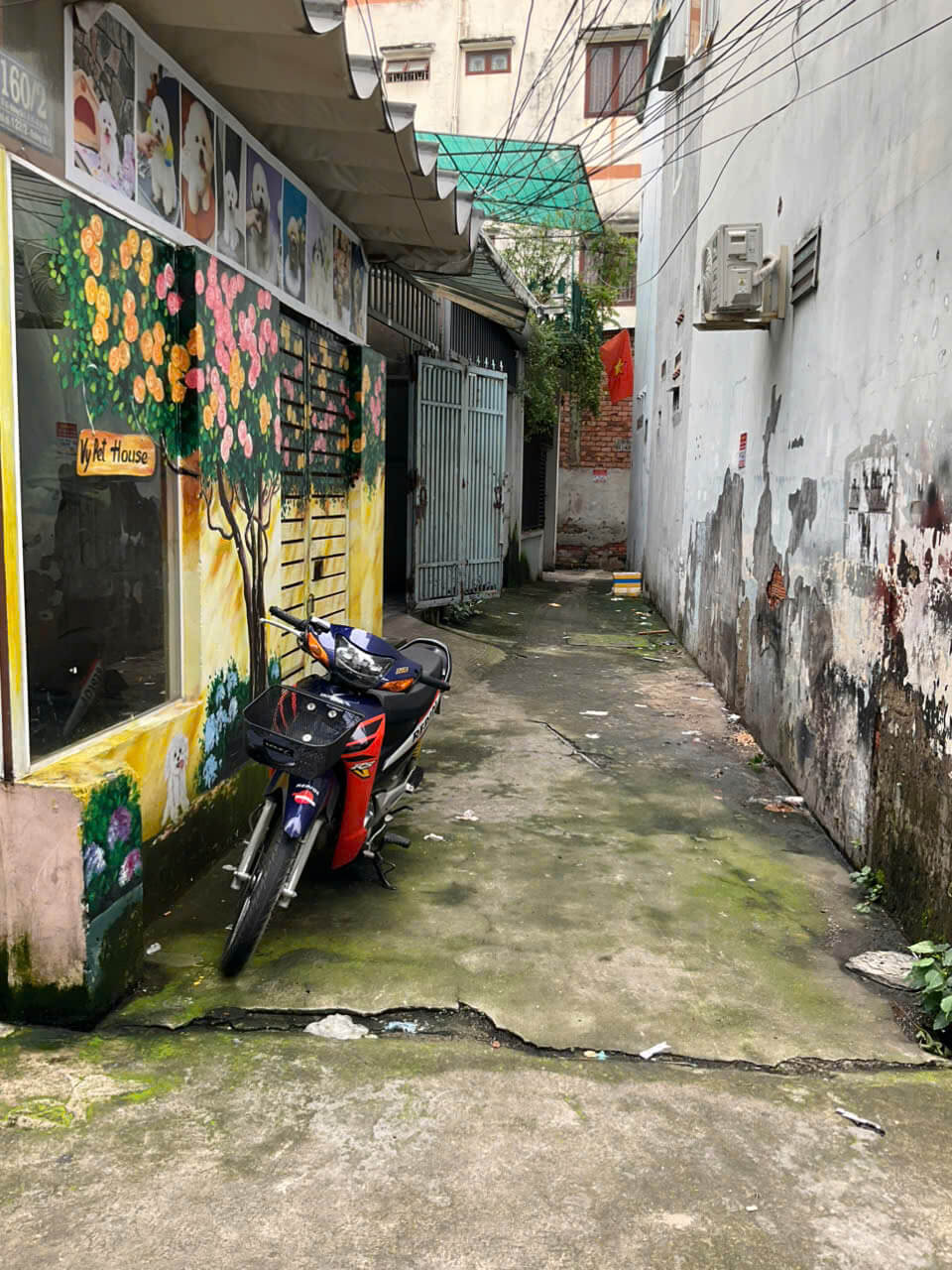 Bán gấp lô đất tặng dãy nhà trọ 1 trệt 2 lầu, 189m2 8x25m, hẻm ô tô đỗ cửa (HH 1%)